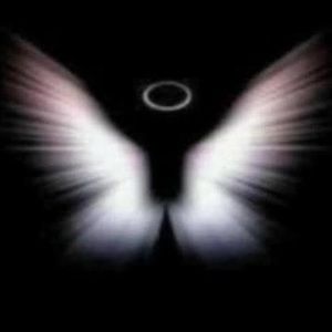 Meet your Posher, Sandy